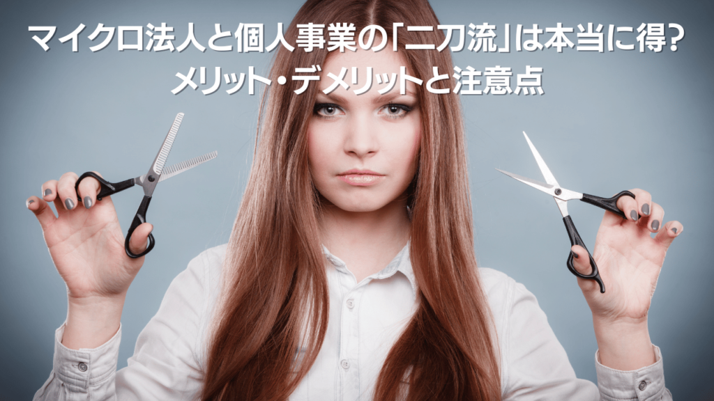 マイクロ法人と個人事業の二刀流は本当に得 メリットデメリットと注意点